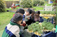 怀化市鹤城区第二幼儿园：小手造地球 童心护家园