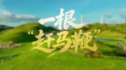 党课开讲啦③ | 一根“赶马鞭”