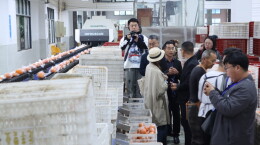 “中国式现代化的万千气象”网络名人湖南行活动走进新宁