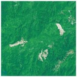 世界地球日 | 从三组卫星遥感图看生态保护成效