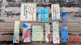 阅读不止于“读”！湖南少年在书香中拔节生长