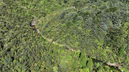 图集丨宜章莽山：春暖将军寨 风光无限美