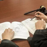 南县公安：解锁寻羊新方法