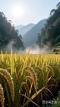 智赋融媒·学员习作㊷|田坪镇：一碗擂茶，十里家常