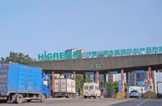 长沙这个中南地区最大“菜篮子”，年交易额超600亿元