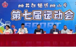 桃江县桃花江镇近桃小学第七届运动会开幕