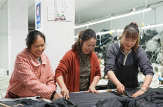 Returnee Entrepreneurs to Facilitate Rural Revitalization
