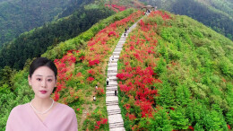 智赋融媒·学员习作⑰|跟着数字人游新化大熊山