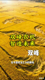 智赋融媒·学员习作㉘|双峰农机·智造未来