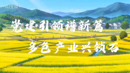 智赋融媒·学员习作⑭|党建引领谱新篇，四色产业兴锁石