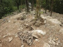 “亲子寻宝”变破坏环境 参与者可能面临法律追责