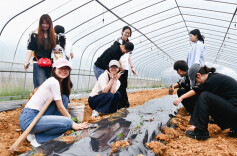 邵阳学院在板桥乡建立劳动教育实践基地，学生走进西瓜大棚上课