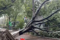 2026年一季度全国自然灾害情况发布 直接经济损失10.41亿元