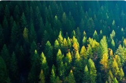 中共中央办公厅 国务院办公厅印发《碳达峰碳中和综合评价考核办法》