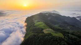 白云深处有茶香——在北纬30°的云端，遇见一杯好茶与一群守茶的人