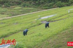 衡阳县水利局：多措并举 全力筑牢汛期安全屏障