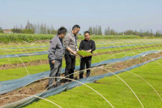 一场监督谈话，化作春耕“及时雨”