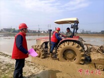 春灌保苗正当时 澧县电力配套工程跑出加速度