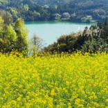 10年奋斗，桃源县赛阳村从深山贫困村蝶变为文旅明星村