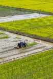 新、韧、实，今年的春耕这样“打开”