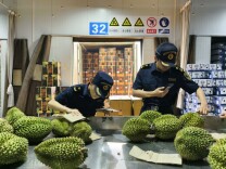 首季中国经济调研行｜从口岸港口看中国—东盟贸易脉动