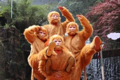 山水寻踪·大圣归来！宝峰湖五一西游奇遇季燃动开启