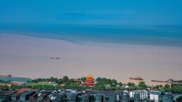 45年，数百万次快门：他用镜头守护一片湖的归来