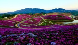 湖南文旅春季消费季4月29日启动 将发布十大茶旅融合精品线路｜五一游湖南⑥