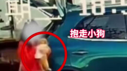 秦皇岛一女子买海鲜逃单还顺手偷走老板的小狗 失主：绝不私了