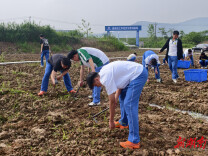 澧县职业中专学校开展学生劳动实践活动