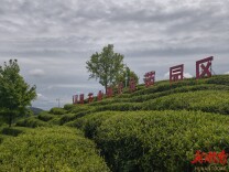 记者团严选，为何带货这三个品——全国主流媒体安康行记者私藏好物揭晓
