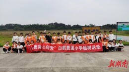 小手植新绿，劳动润童心——白鹤菱溪小学开展植树劳动实践活动