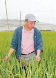 把代码“种”进泥土，人工智能大数据如何助力选种？