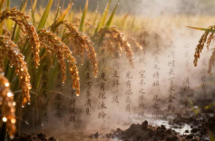 师说星语|新文科时代的教学相长
