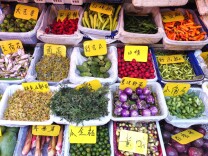生活观察｜春游踏青，野菜野菌别乱采食