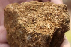 大连8岁男孩爬山发现金矿线索！后续来了