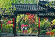 古韵个园 诗意邂逅