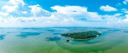 廖良辉：深入践行习近平生态文明思想 坚决守护好一江碧水