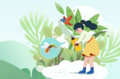 周末·健康丨重症可导致肾衰竭、休克  这份疟疾防护指南请收好