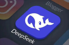 沉默的DeepSeek，和不被定义的中国大模型