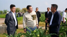 西洞庭洋蓟产业论坛：以产学研融合促产业蝶变