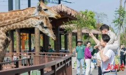 这个“五一”，汉寿喊话成渝地区游客：欢迎从山城到水乡走一趟