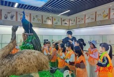 小记者走读湖湘｜在行走中读懂科学与匠心