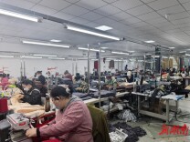 桃江县牛田镇走活乡村振兴“特色棋”：闲置资产“生金” ，花海文旅“留客”