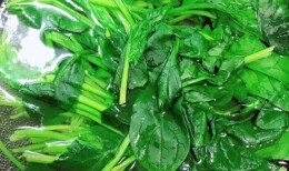 周末·科普丨焯水到底是用冷水还是热水？你可能一直都没焯对