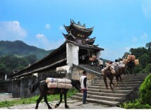 这里有一条“五一”避人潮攻略，请“茶”收｜五一游湖南⑧