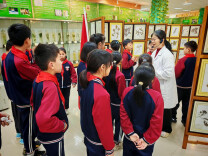 国粹岐黄 杏林萌芽——中岭小学“雷小锋”走进湖南中医药大学解锁中医药科普新体验