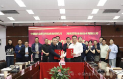 火麻仁蛋白肽，下一个健康食品“新星”？湘企联手“国家队”打造产业集群