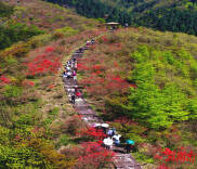 新化启动“蚩尤魂·熊山恋”文艺创作大赛