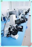 AI与科学仪器融合已到关键节点